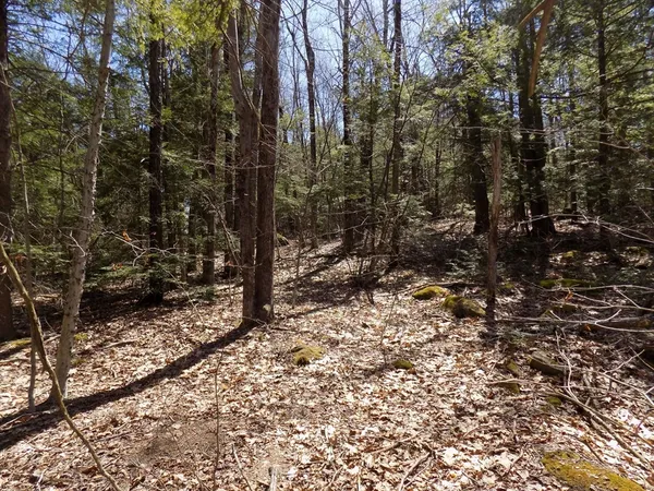 $39,900 | Lot 7 Skyline Ridge Road, Becket, MA 01223