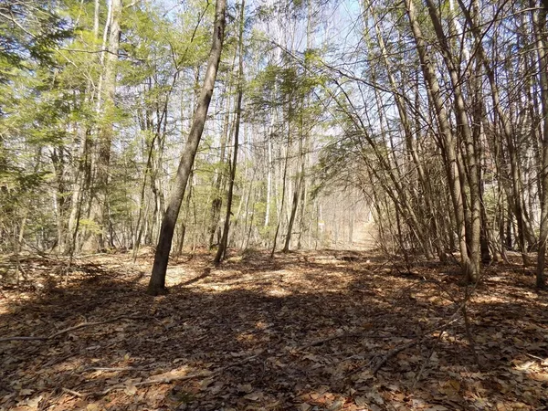 $39,900 | Lot 7 Skyline Ridge Road, Becket, MA 01223