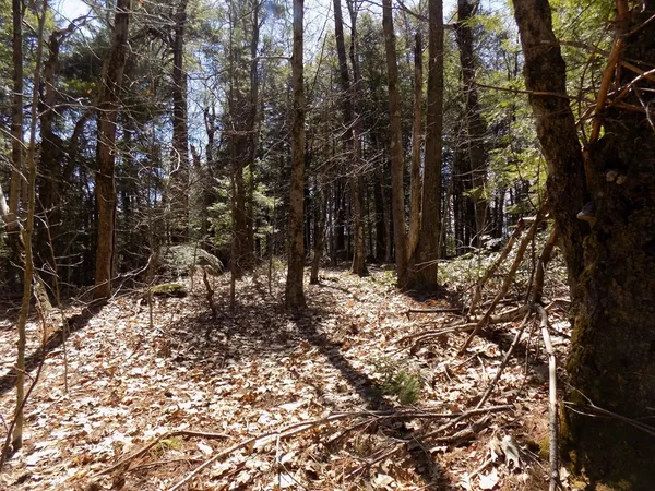 $39,900 | Lot 7 Skyline Ridge Road, Becket, MA 01223