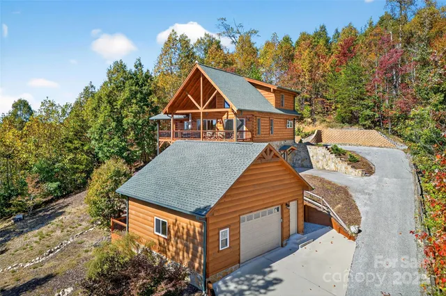a aerial view of a house with a yard and potted plants