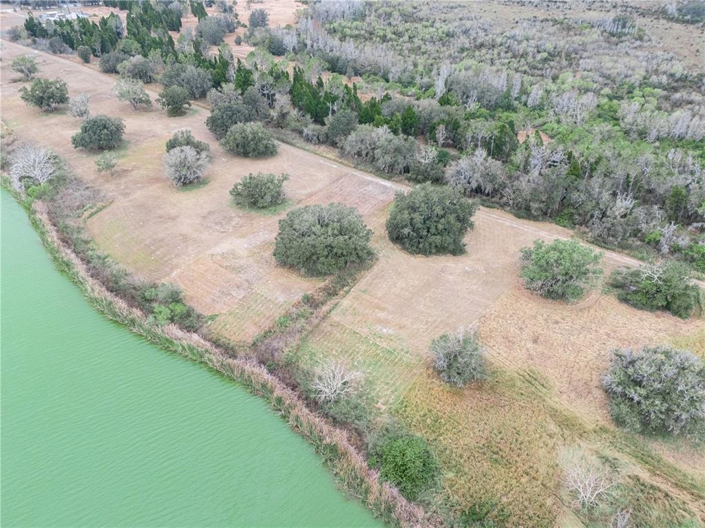 10349 County Road 555 Fort Meade, FL 33841 - Photo 10 of 17 a view of a street with a yard and large trees