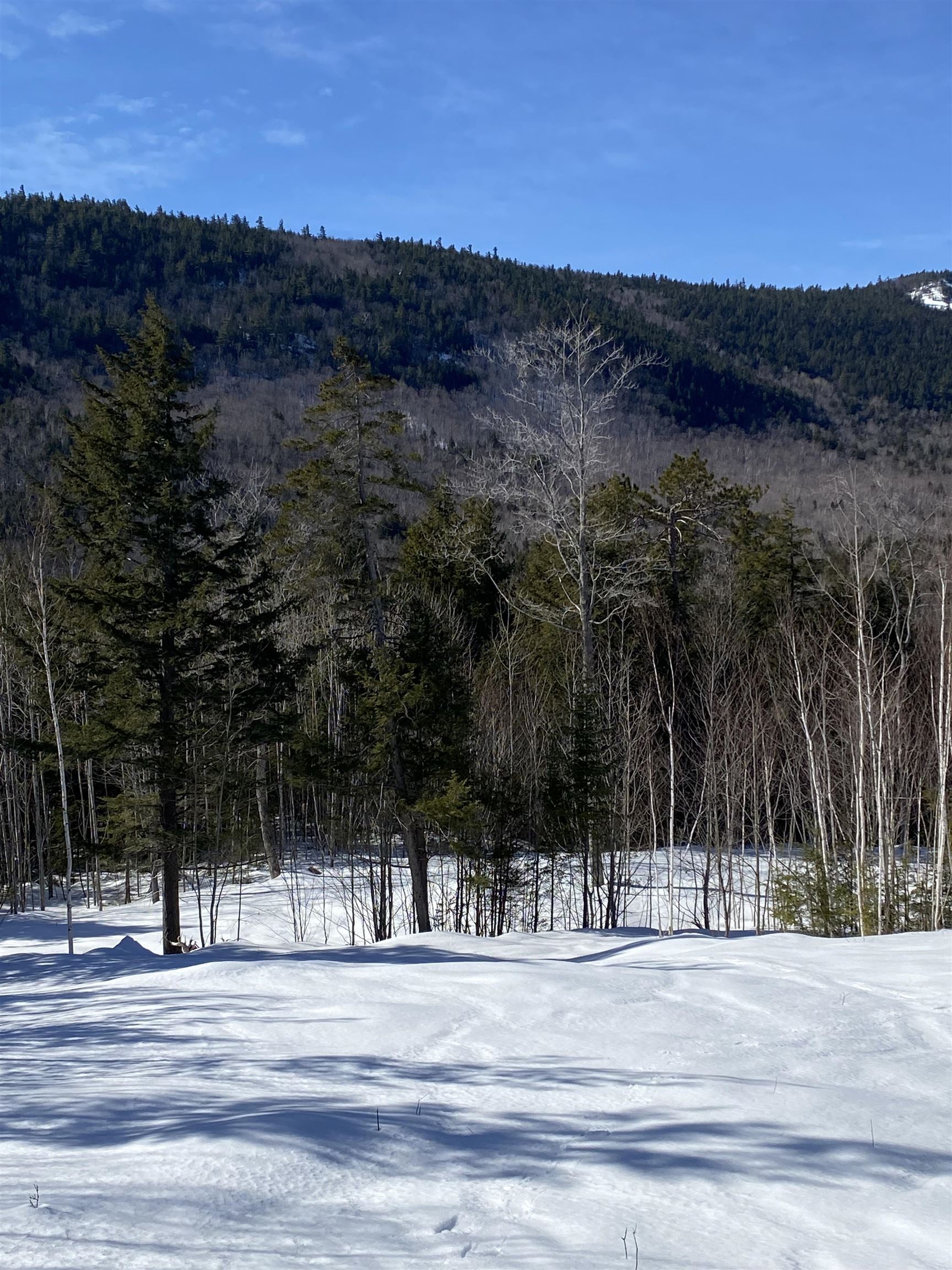 F9 Cave Mountain Road Glen, NH 03838 - Photo 1 of 6