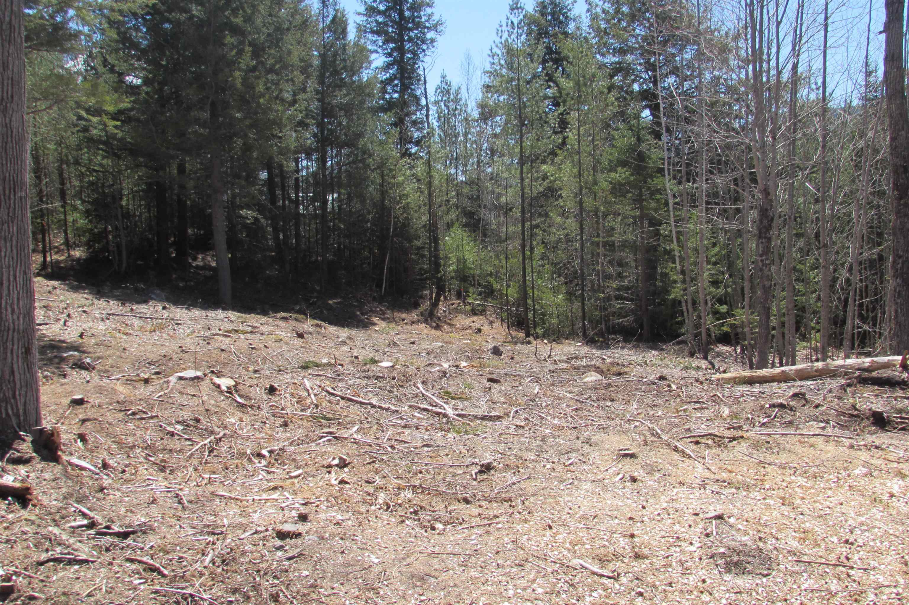 F9 Cave Mountain Road Glen, NH 03838 - Photo 2 of 6