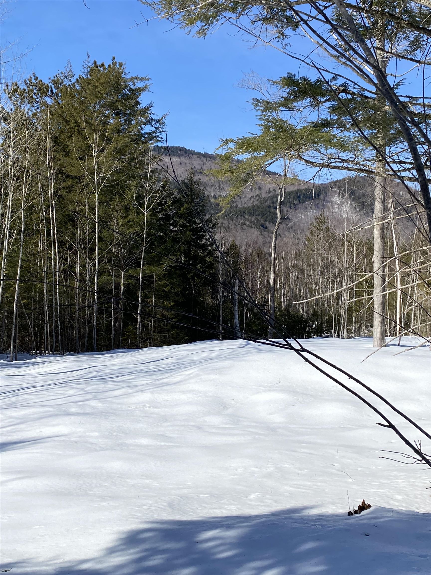F9 Cave Mountain Road Glen, NH 03838 - Photo 3 of 6