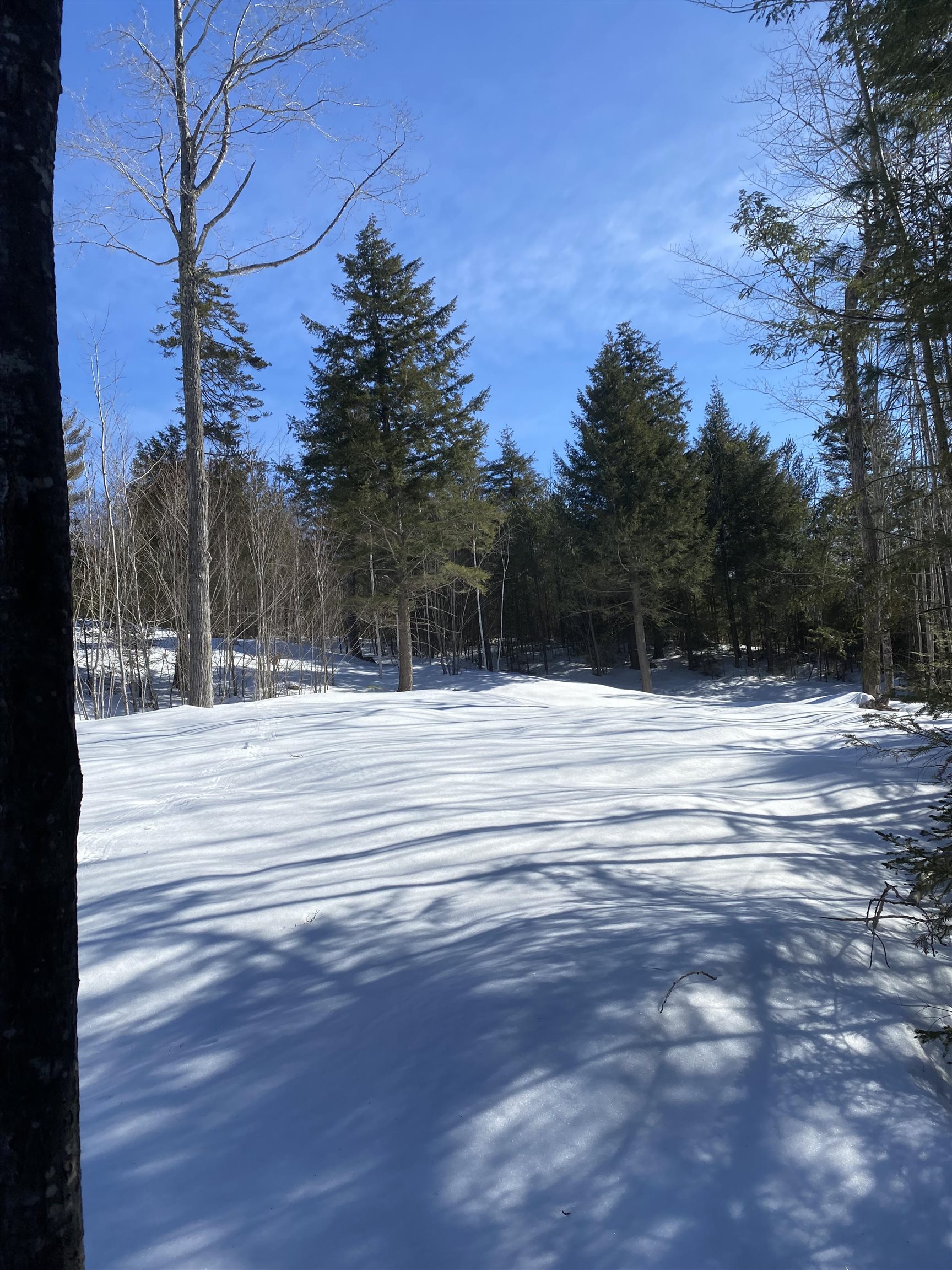 F9 Cave Mountain Road Glen, NH 03838 - Photo 4 of 6