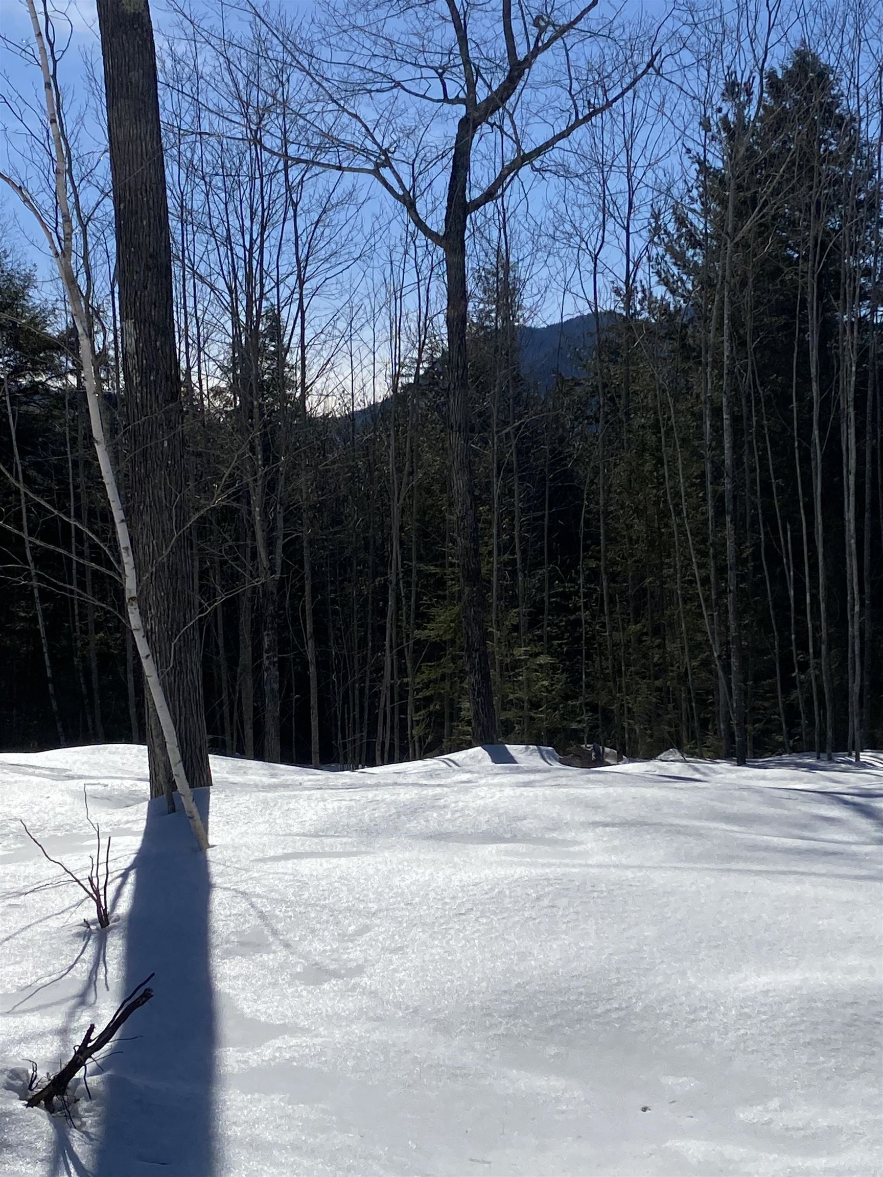 F9 Cave Mountain Road Glen, NH 03838 - Photo 6 of 6