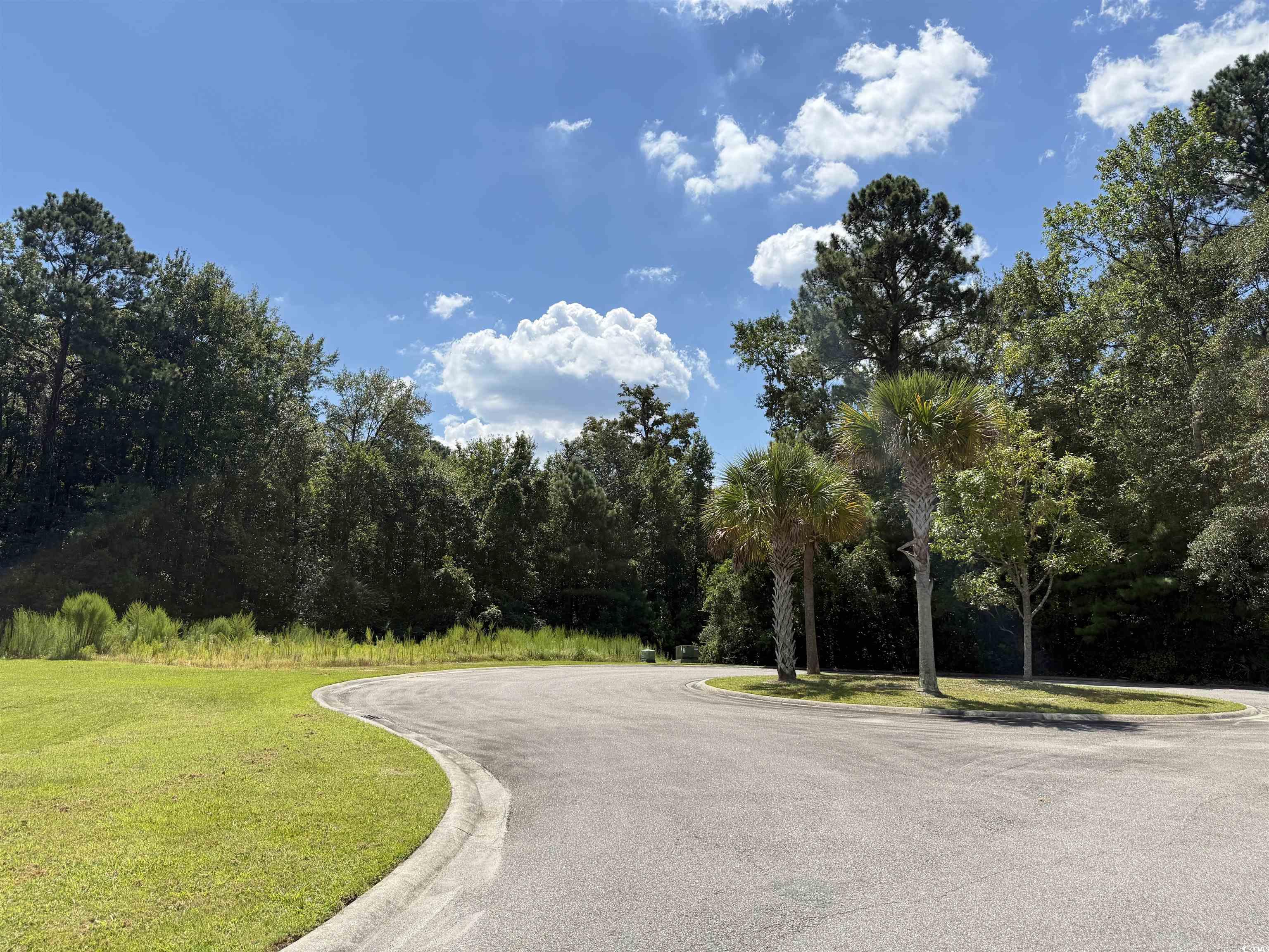 175 Commanders Island Road Georgetown, SC 29440 - Photo 3 of 10 View of asphalt road with curbs and a view of tree