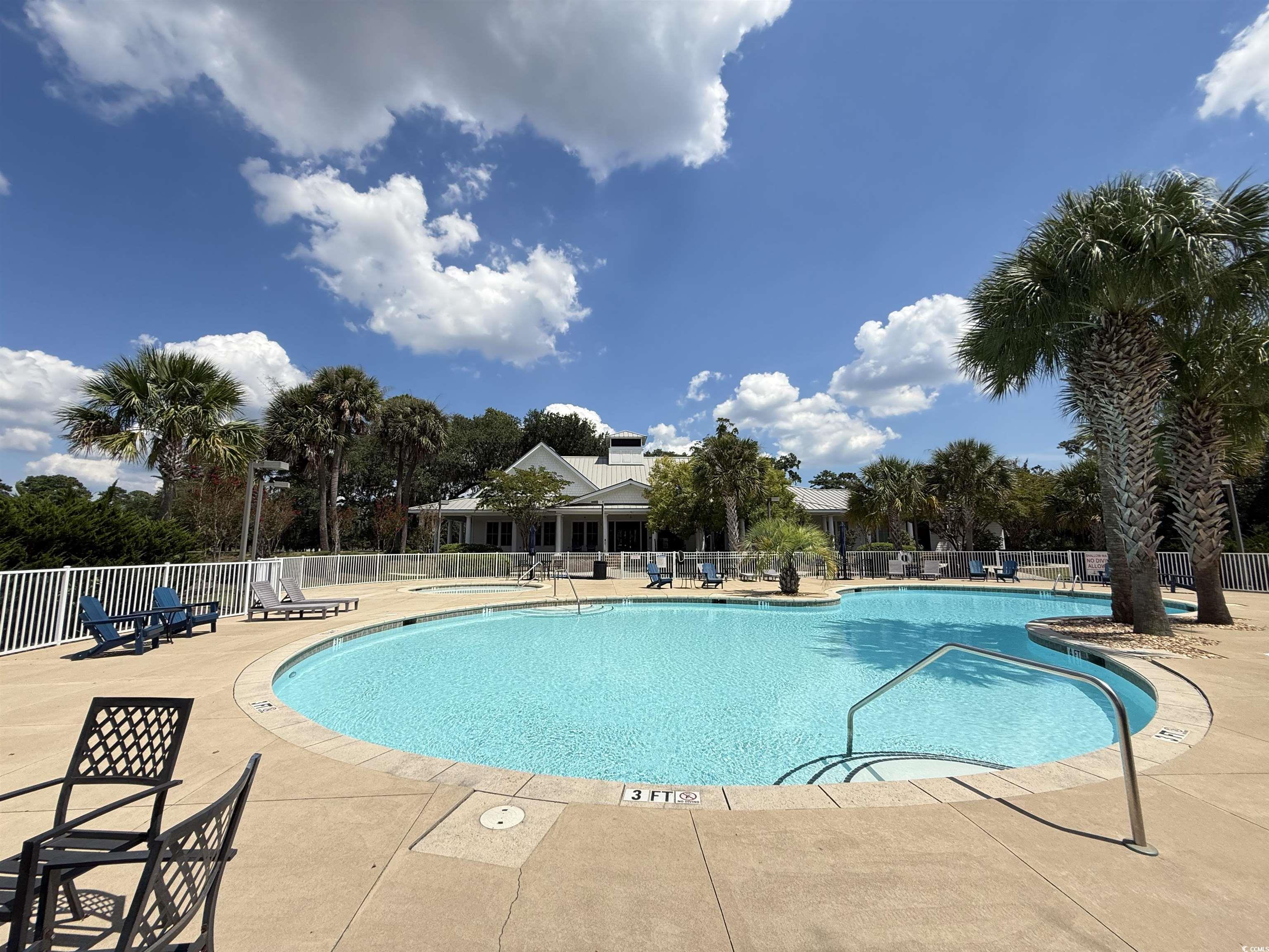175 Commanders Island Road Georgetown, SC 29440 - Photo 10 of 10 Community pool featuring a patio area