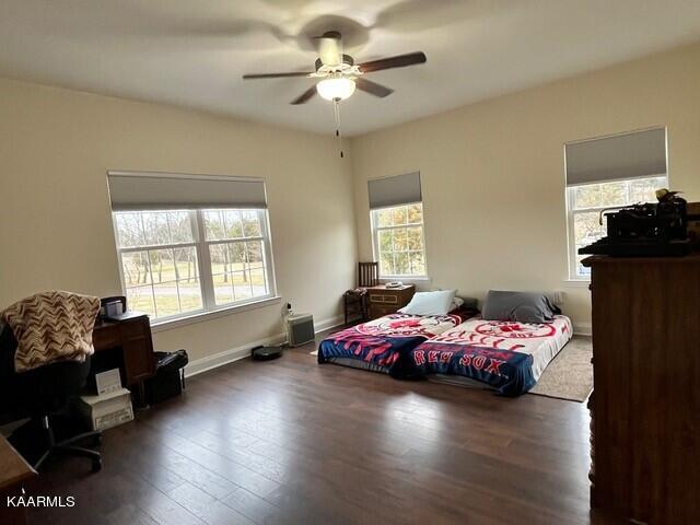 7445 Niles Ferry Road Greenback, TN 37742 - Photo 16 of 26 25