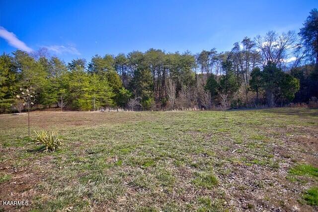 7445 Niles Ferry Road Greenback, TN 37742 - Photo 24 of 26 18