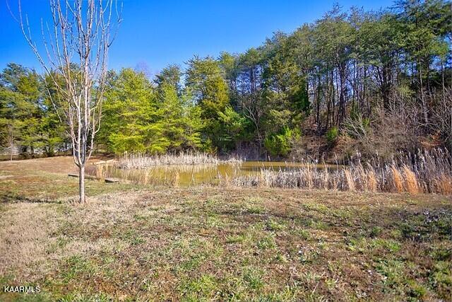 7445 Niles Ferry Road Greenback, TN 37742 - Photo 25 of 26 17