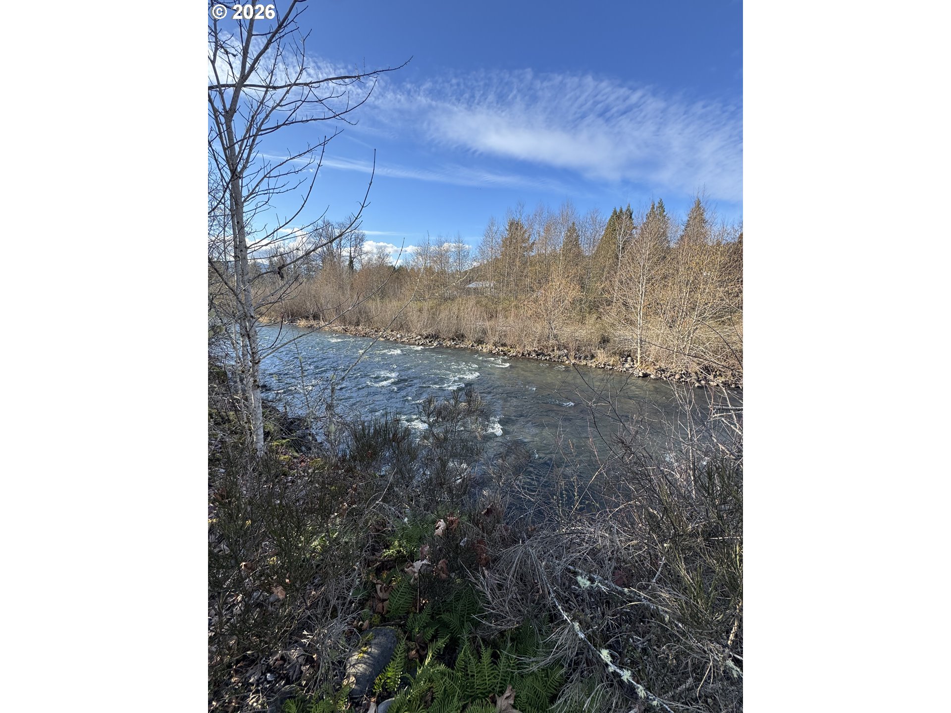 48448 Roaring Rapids Way Oakridge, OR 97463 - Photo 7 of 8