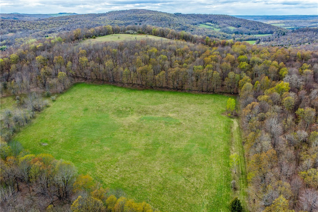 Lot 3 Brownell Road Bloomville, NY 13739 - Photo 3 of 35
