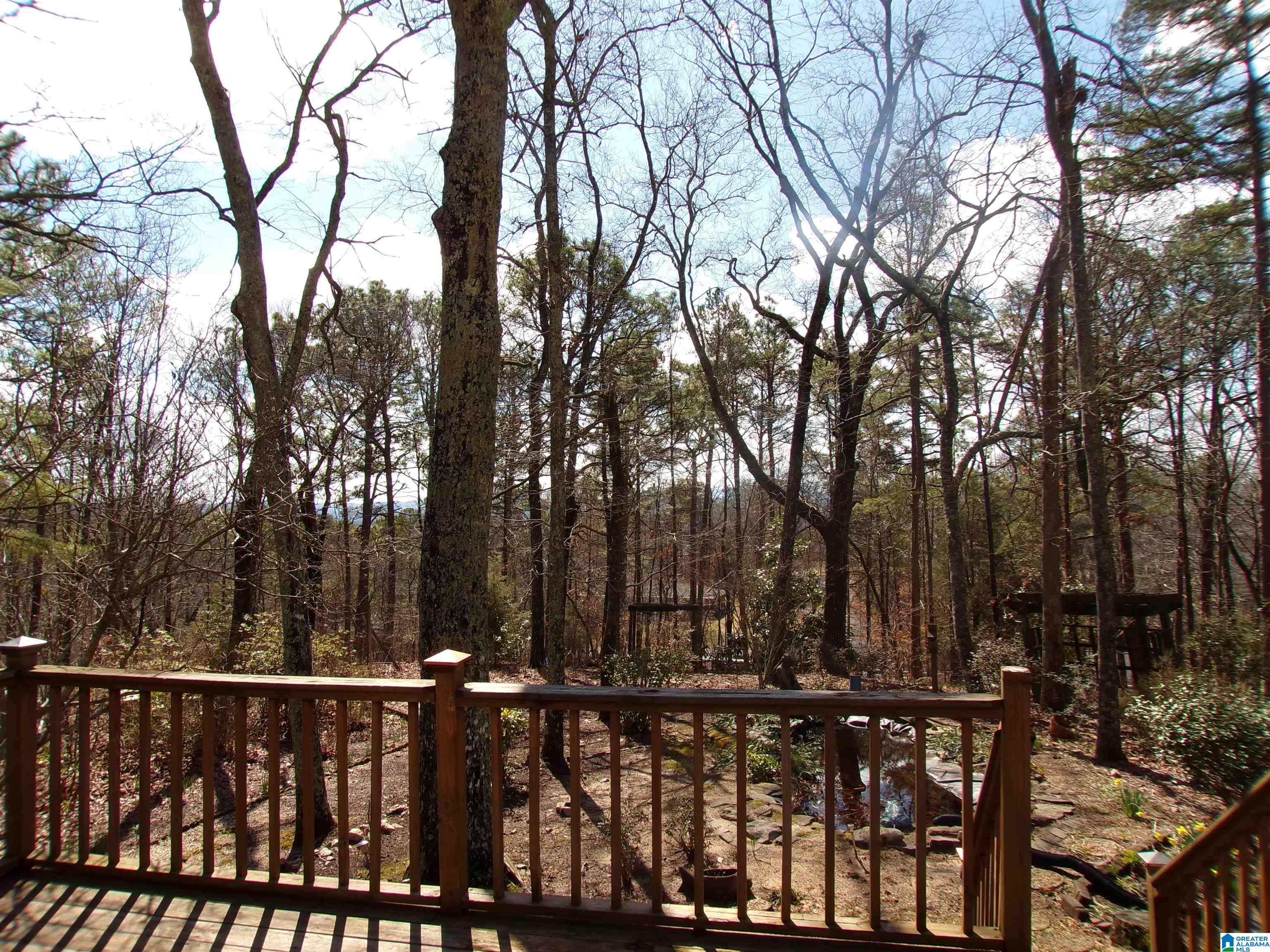 410 Stone Ridge Road Anniston, AL 36207 - Photo 58 of 74