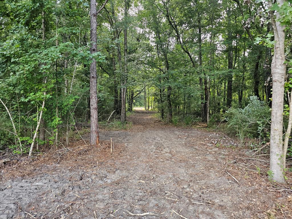 L5 New Hinson Road Slocomb, AL 36375 - Photo 15 of 23