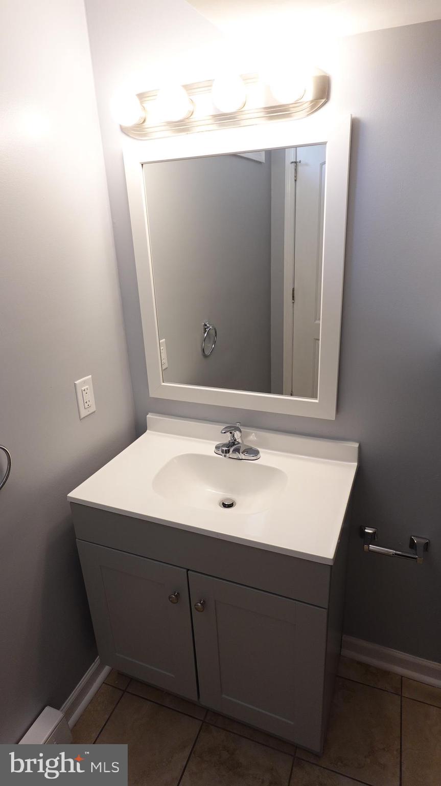 317 Devonshire Road Hagerstown, MD 21740 - Photo 66 of 114 a bathroom with a sink and a mirror