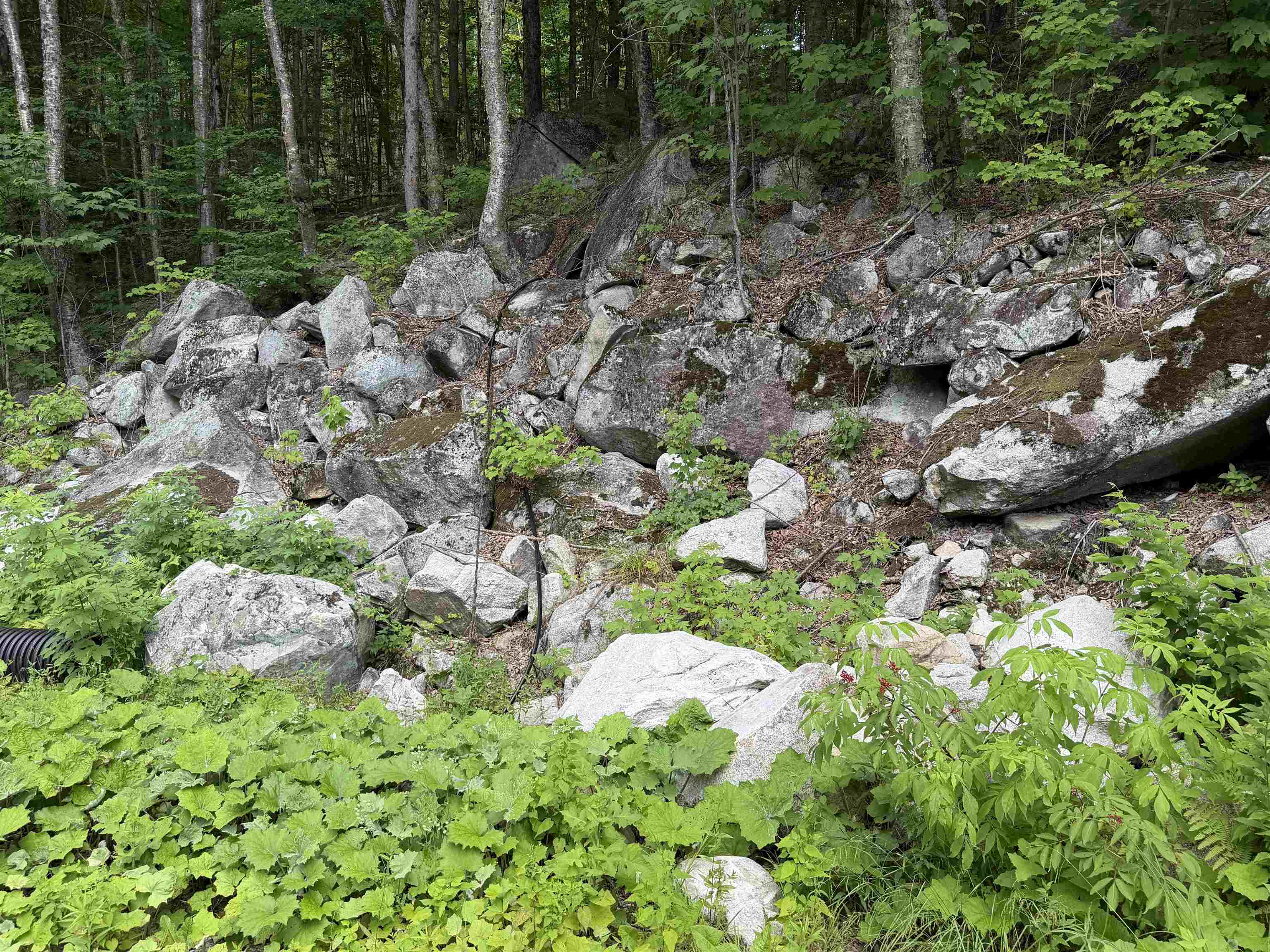 493 Wheeler Mountain Road Barton, VT 05822 - Photo 26 of 48