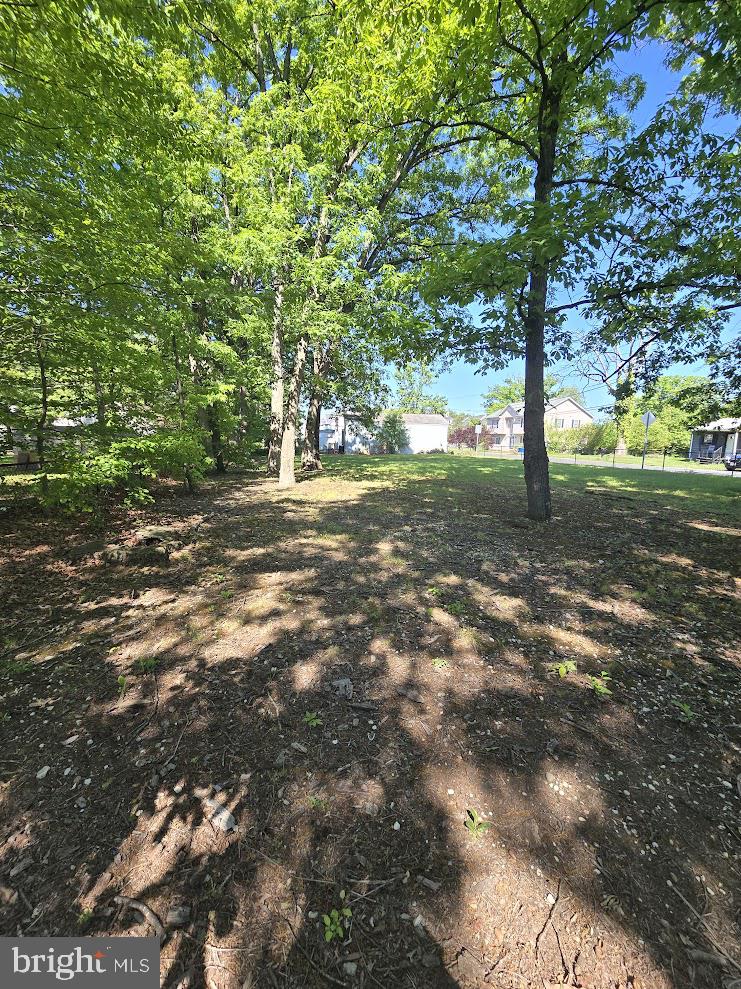 9130 D'Arcy Road Upper Marlboro, MD 20774 - Photo 8 of 38 Serene wooded retreat awaits you.