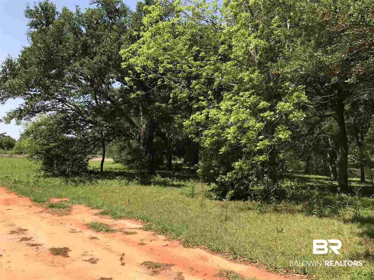 0 Beasley Road Foley, AL 36535 - Photo 18 of 29
