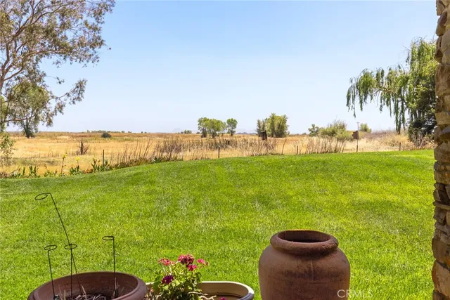 a grassy field with some trees in the background
