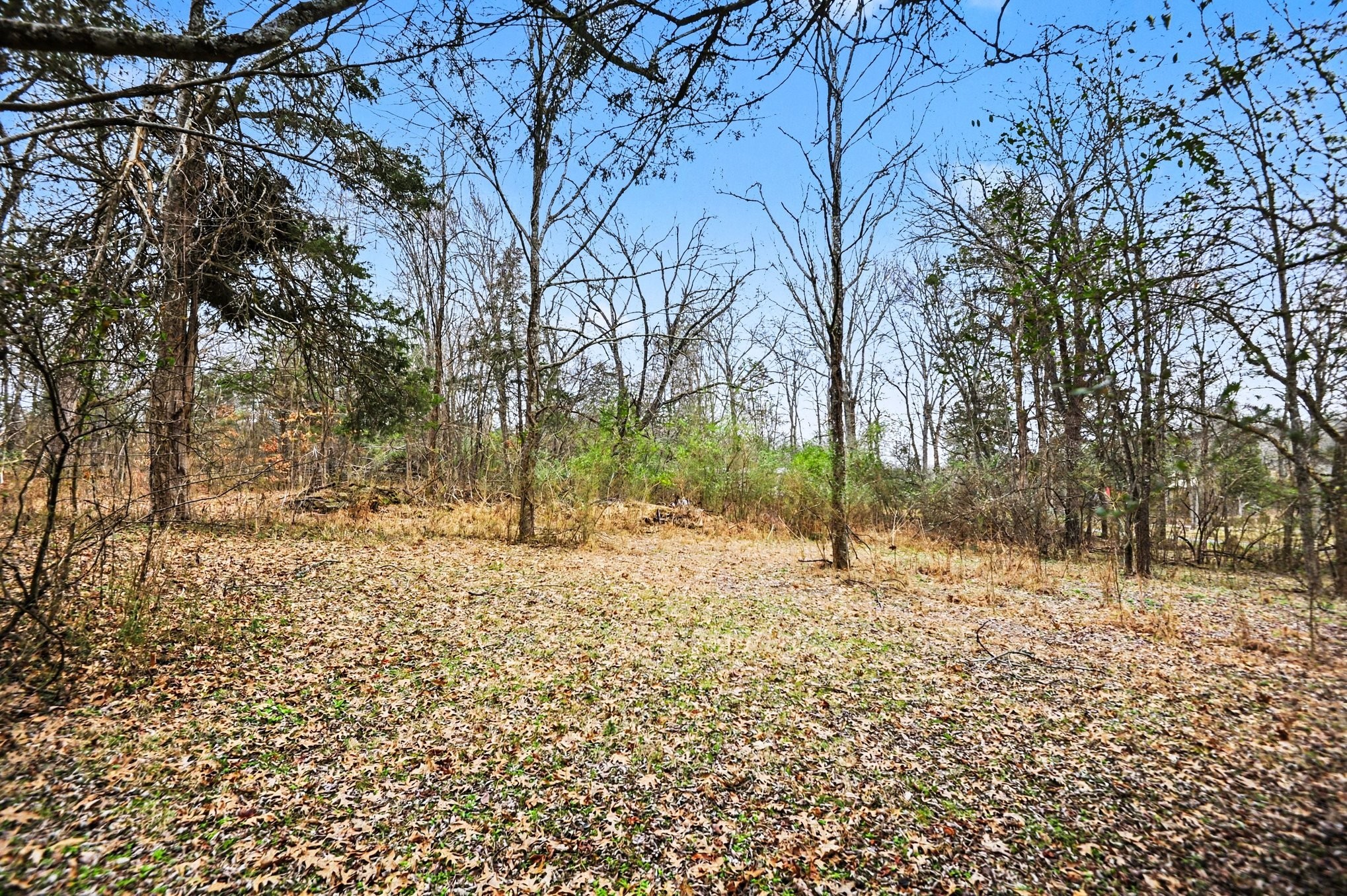 1422 Canoe Branch Road Lebanon, TN 37087 - Photo 15 of 17