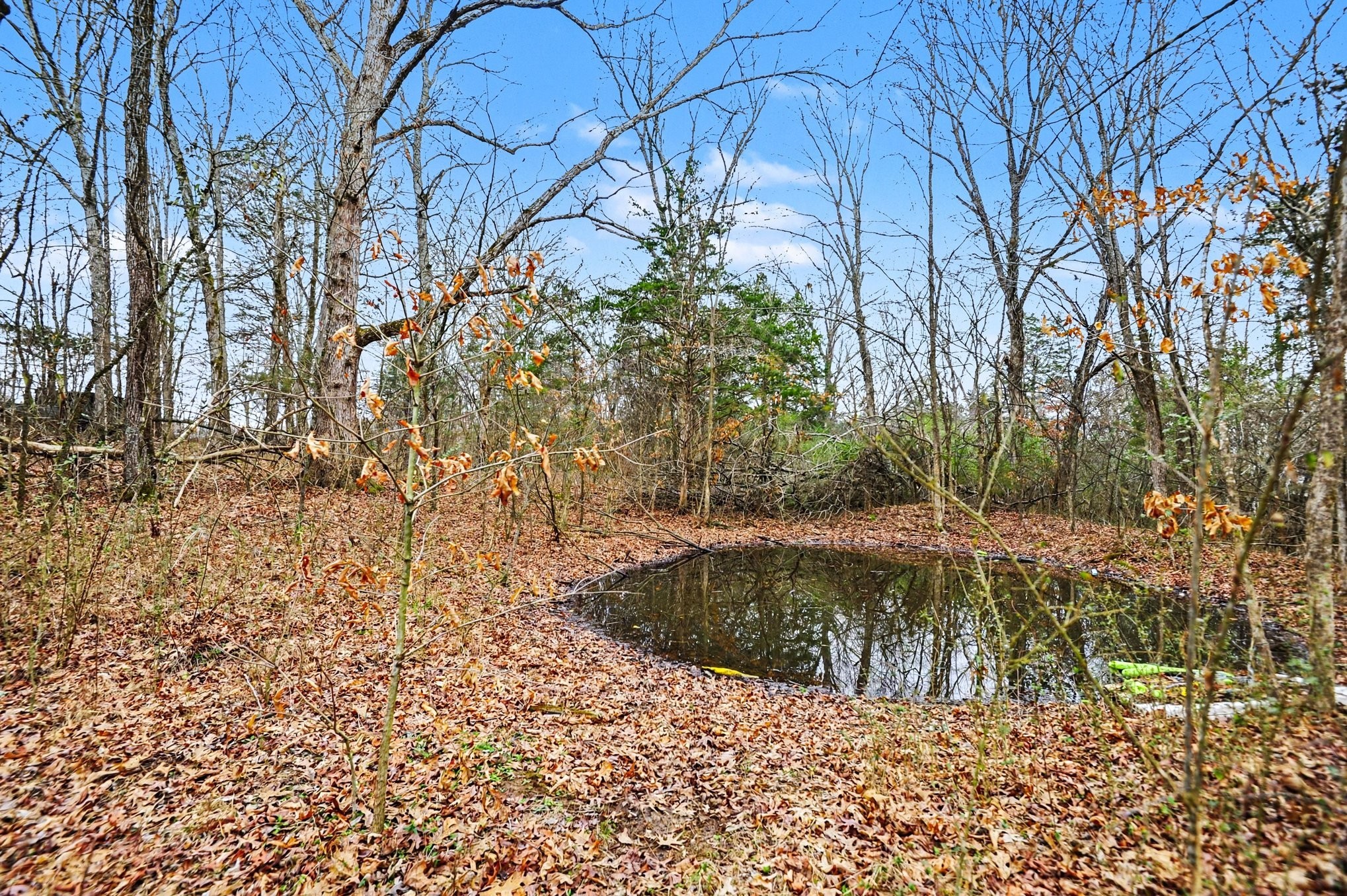 1422 Canoe Branch Road Lebanon, TN 37087 - Photo 17 of 17
