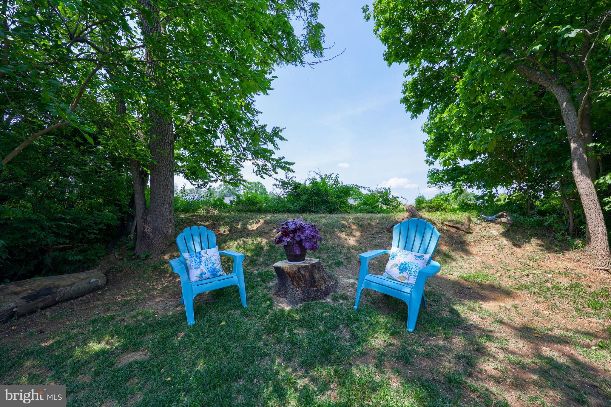 51 Tupelo Street Lititz, PA 17543 - Photo 43 of 45 Back yard - Private - no neighbors behind
