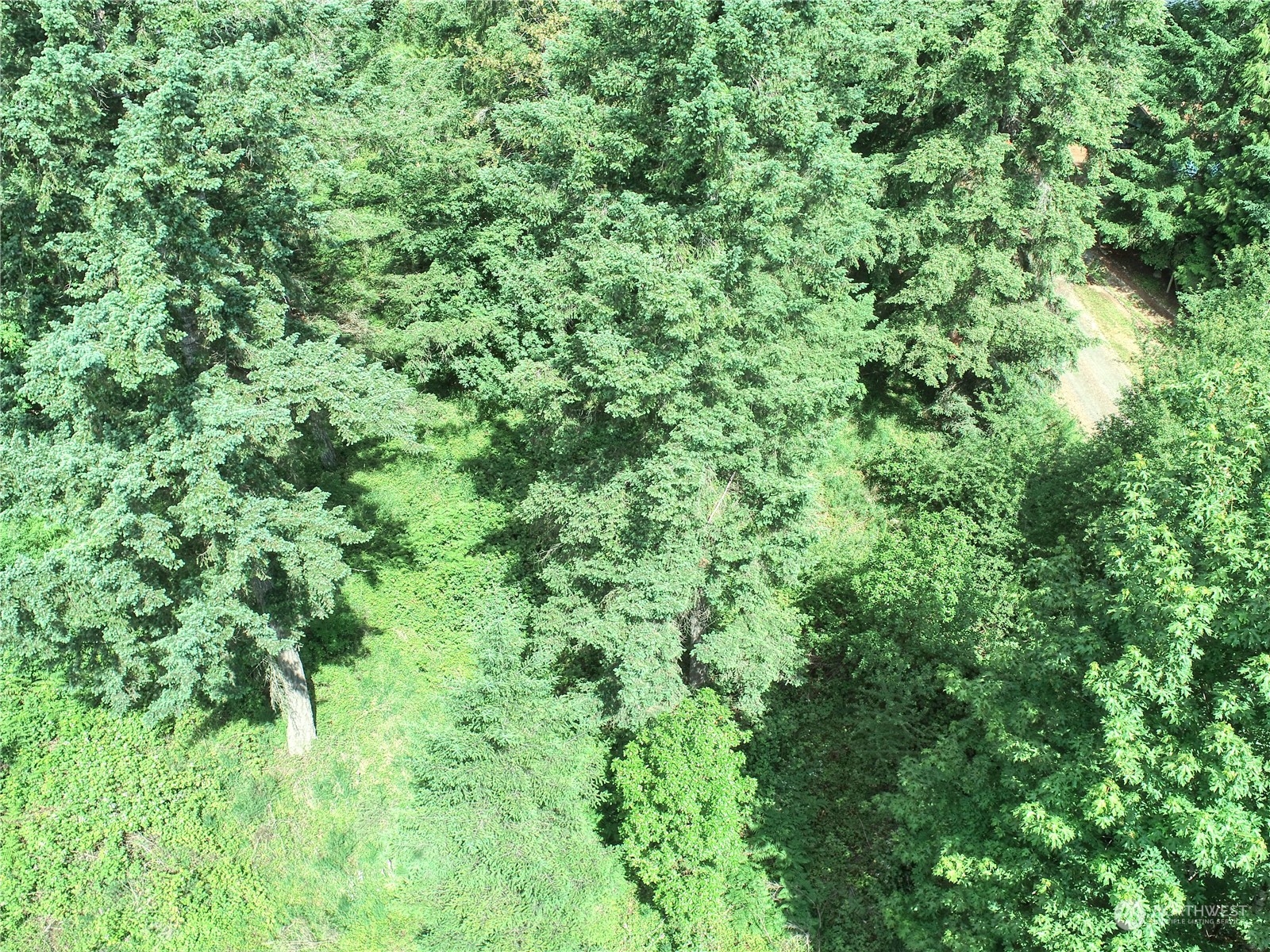 0 Southeast Fireweed Road Shelton, WA 98584 - Photo 11 of 13 Gallery Image 11