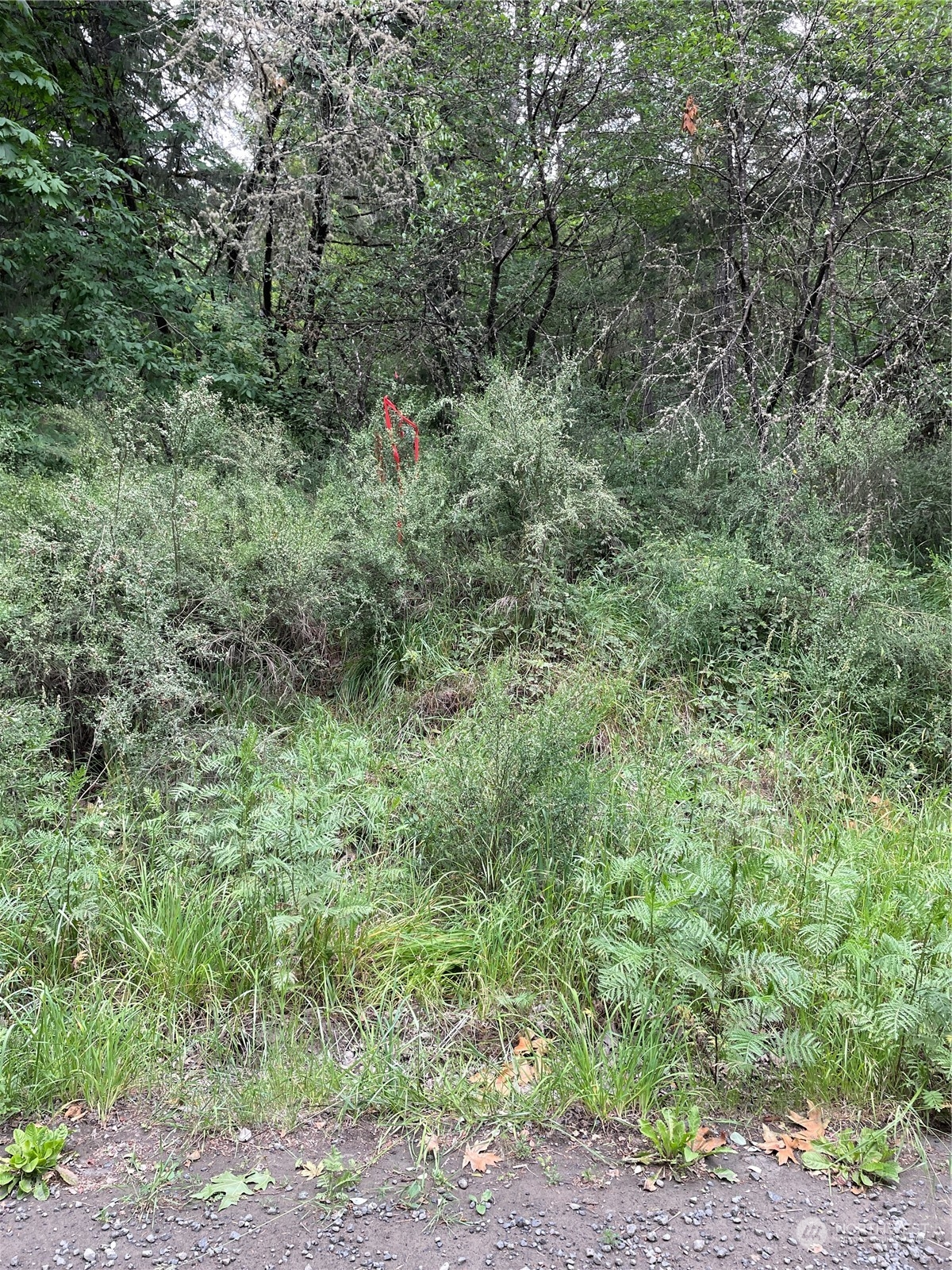 0 Southeast Fireweed Road Shelton, WA 98584 - Photo 13 of 13 Gallery Image 13