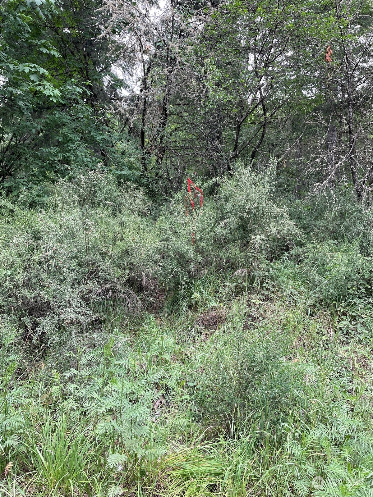 0 Southeast Fireweed Road Shelton, WA 98584 - Photo 2 of 13 Gallery Image 2