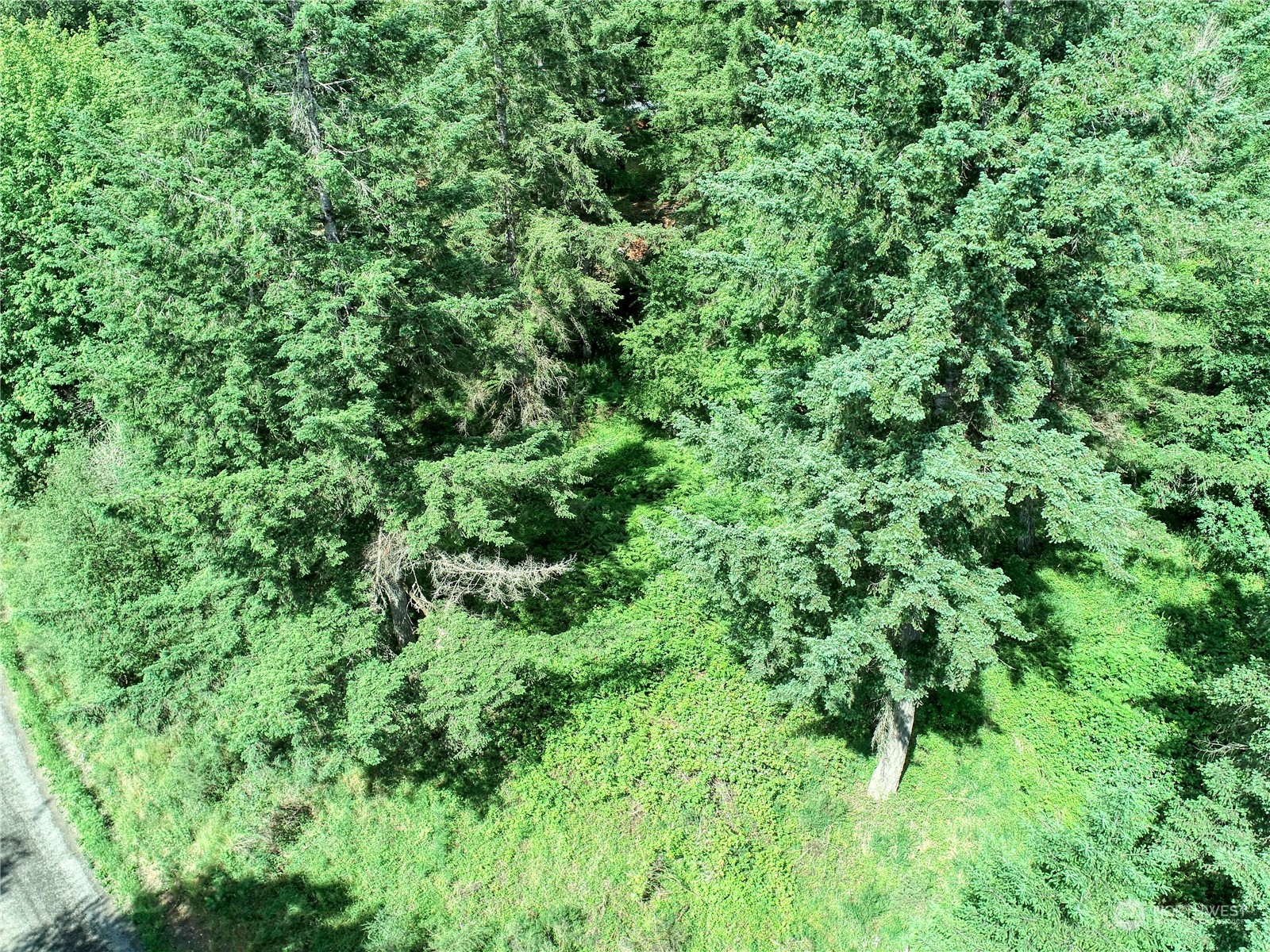 0 Southeast Fireweed Road Shelton, WA 98584 - Photo 6 of 13 Gallery Image 6