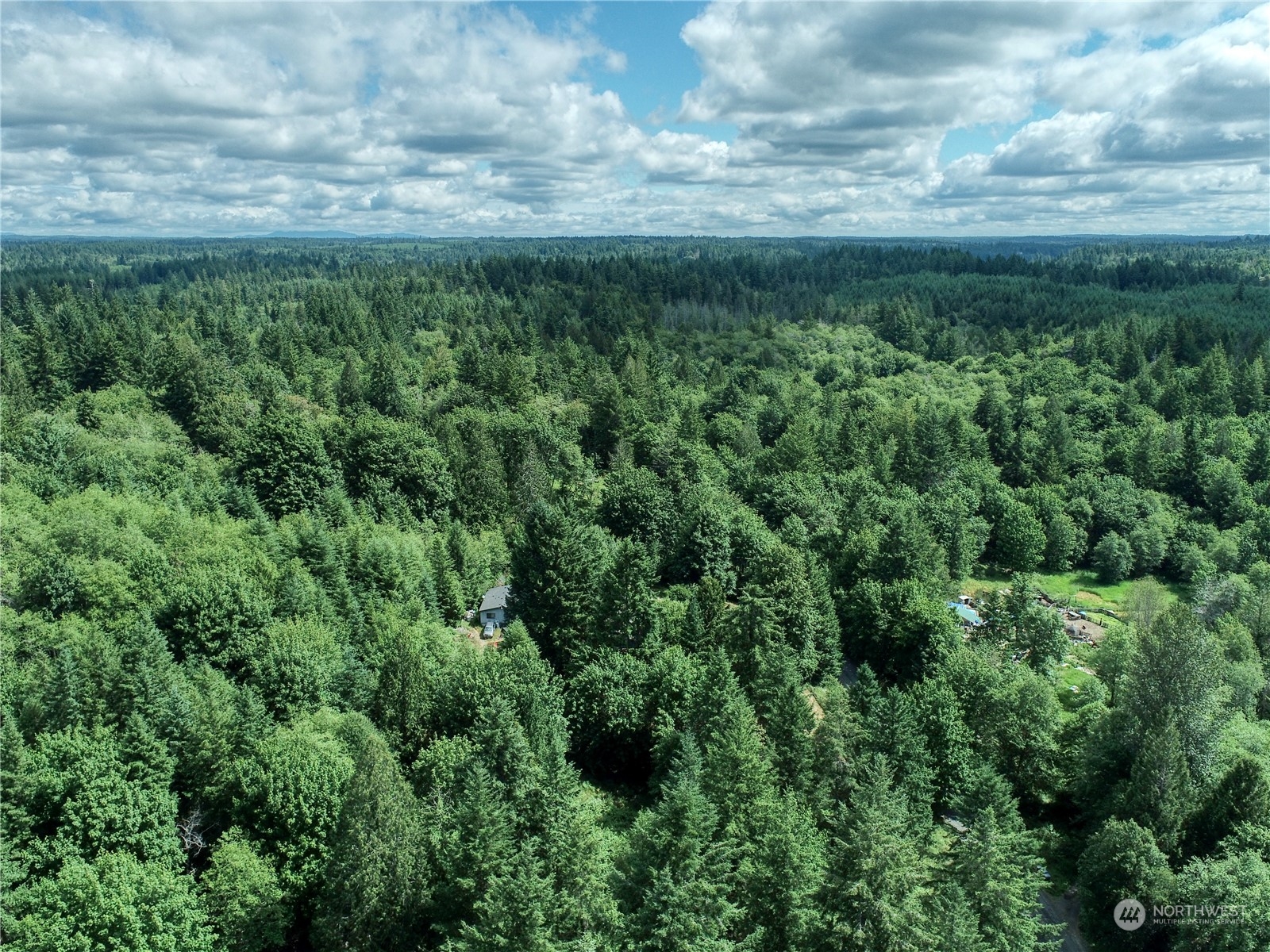 0 Southeast Fireweed Road Shelton, WA 98584 - Photo 7 of 13 Gallery Image 7