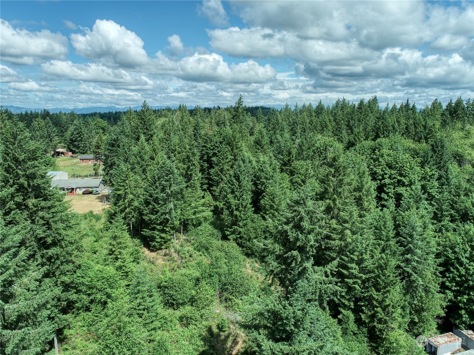 0 Southeast Fireweed Road Shelton, WA 98584 - Photo 8 of 13 Gallery Image 8