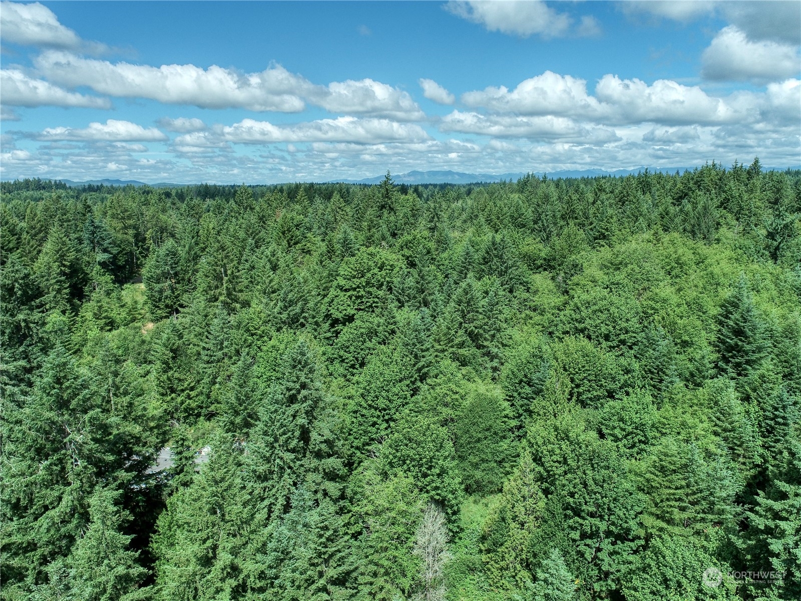 0 Southeast Fireweed Road Shelton, WA 98584 - Photo 9 of 13 Gallery Image 9