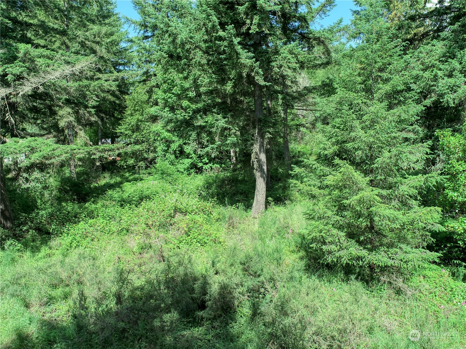 0 Southeast Fireweed Road Shelton, WA 98584 - Photo 10 of 13 Gallery Image 10