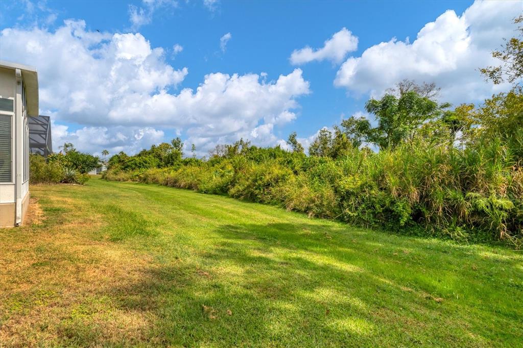 3350 Yonge Avenue, Unit 31 Sarasota, FL 34235 - Photo 29 of 39 a view of a big yard with large trees
