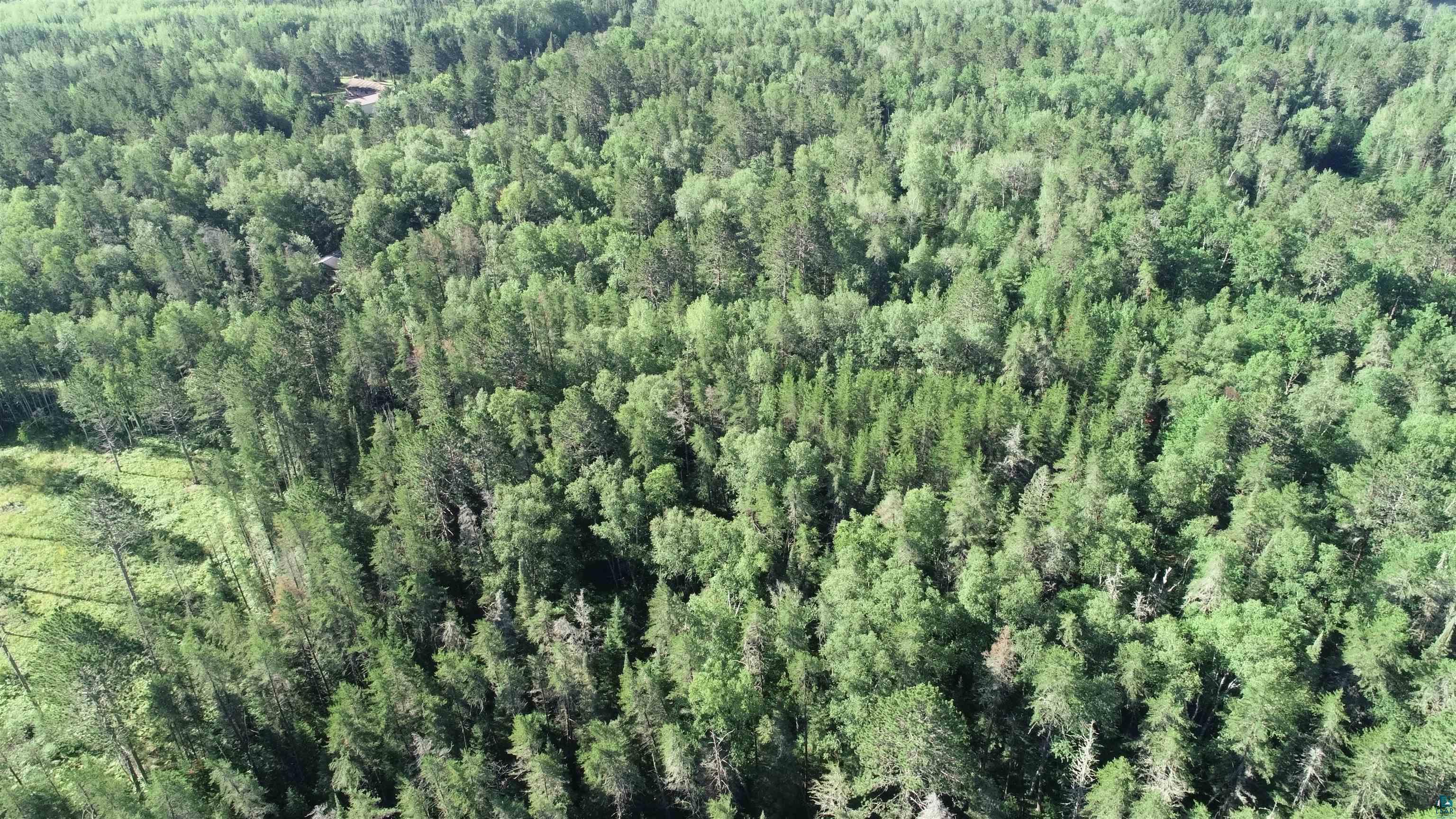 Lot 3 Milroy Road Britt, MN 55710 - Photo 6 of 6 Gallery Image 6
