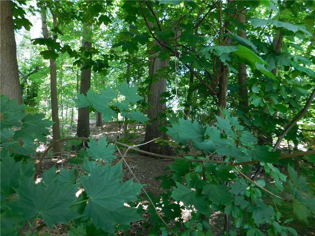 2 Deborah Road Warwick, RI 02888 - Photo 11 of 44 Mature trees provide plenty of privacy.