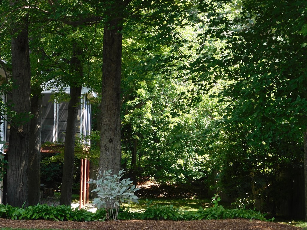 2 Deborah Road Warwick, RI 02888 - Photo 9 of 44 Lots of shade provided around back.