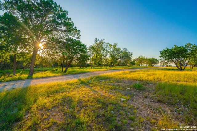 a view of a yard with swimming pool and green space