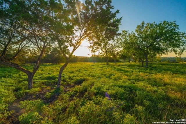 a view of yard with green space