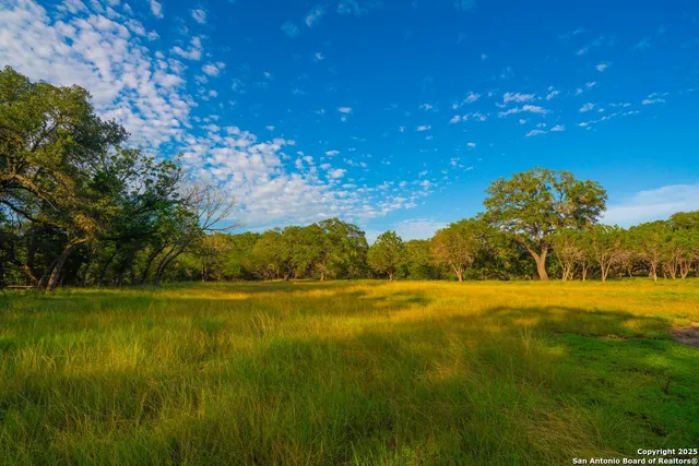 a view of an ocean from a yard