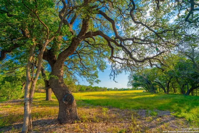 a view of swimming pool with yard
