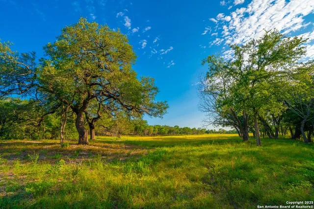 a view of swimming pool with yard