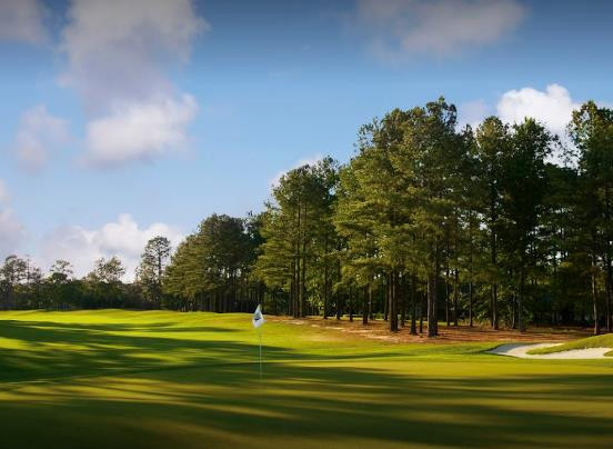 201 Magnolia Lake Road Aiken, SC 29803 - Photo 49 of 53 Gallery Image 49