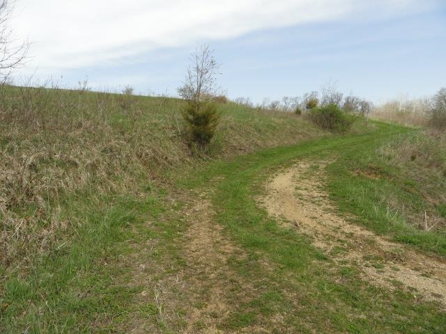 15 Acres /- Cty Rd Mount Blue Mounds, WI 53517 - Photo 21 of 44
