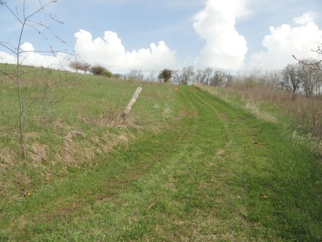 15 Acres /- Cty Rd Mount Blue Mounds, WI 53517 - Photo 23 of 44