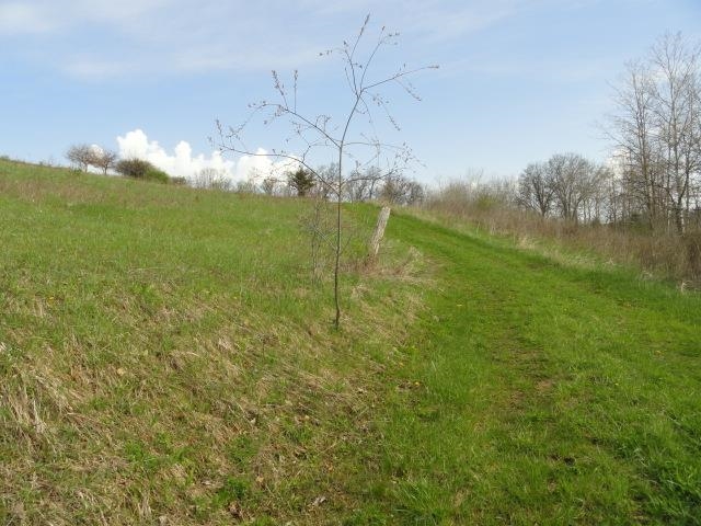 15 Acres /- Cty Rd Mount Blue Mounds, WI 53517 - Photo 24 of 44