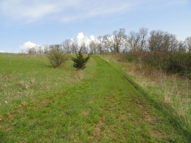 15 Acres /- Cty Rd Mount Blue Mounds, WI 53517 - Photo 25 of 44