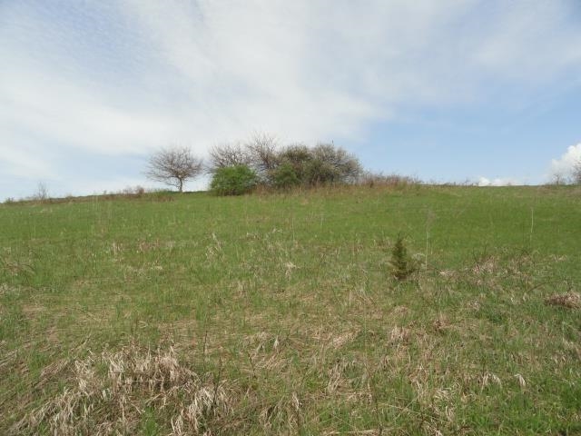 15 Acres /- Cty Rd Mount Blue Mounds, WI 53517 - Photo 26 of 44